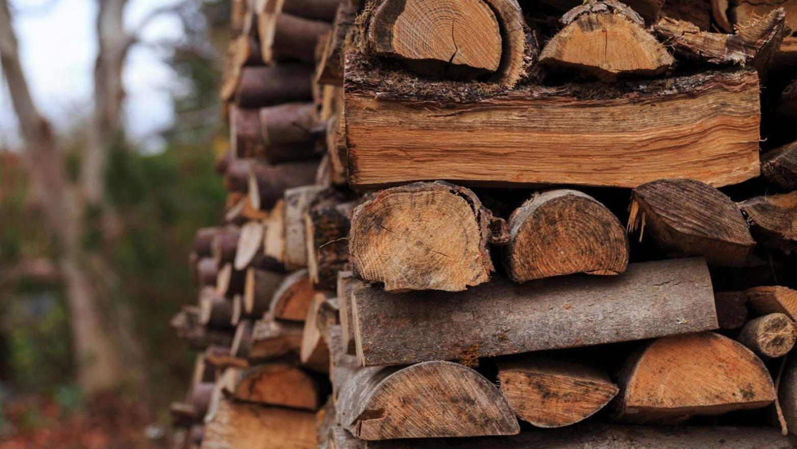 De beste houtsoorten voor langdurige warmte