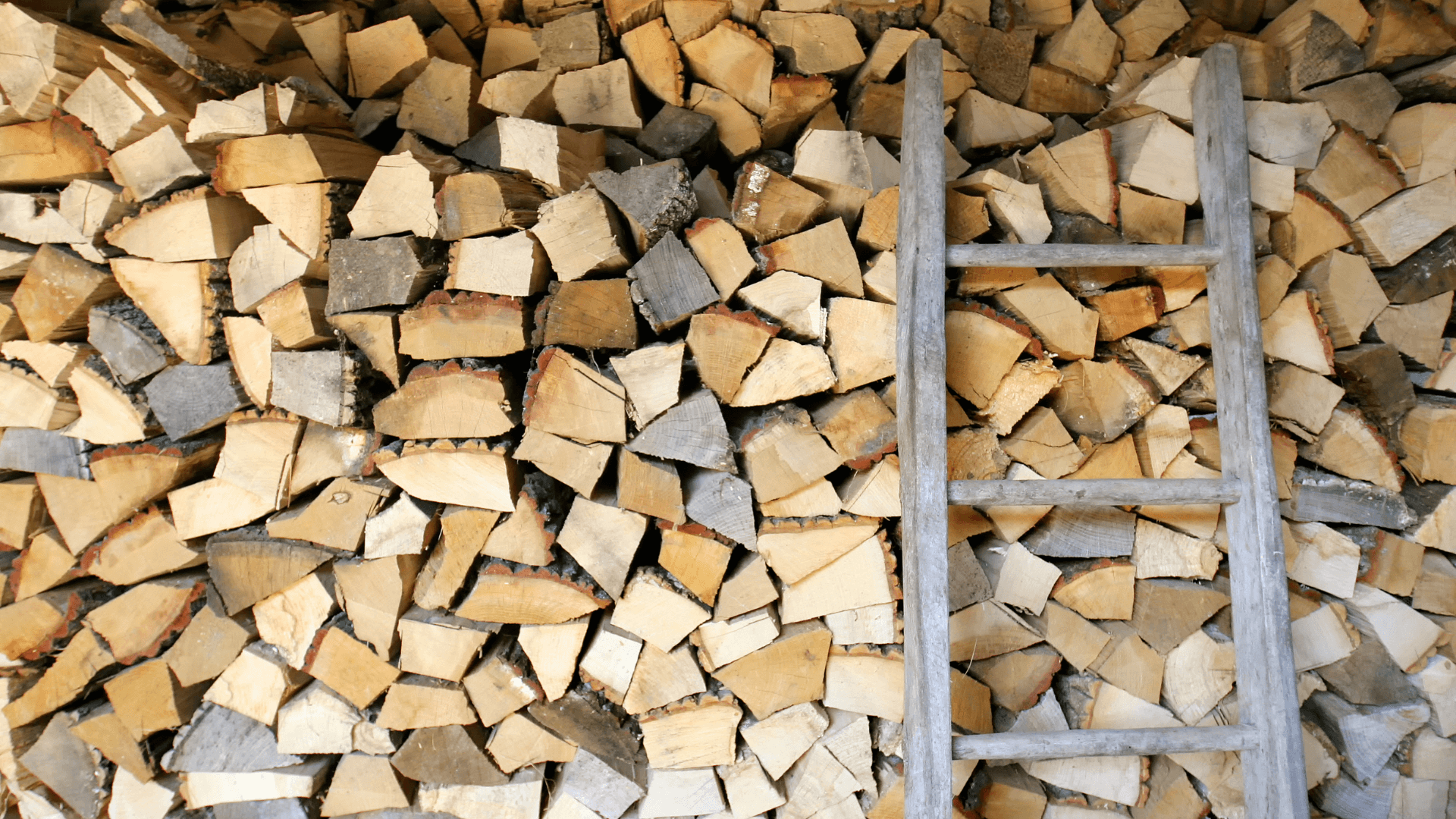 Hoe u brandhout en pelletkorrels het beste kunt opslaan in de zomer!